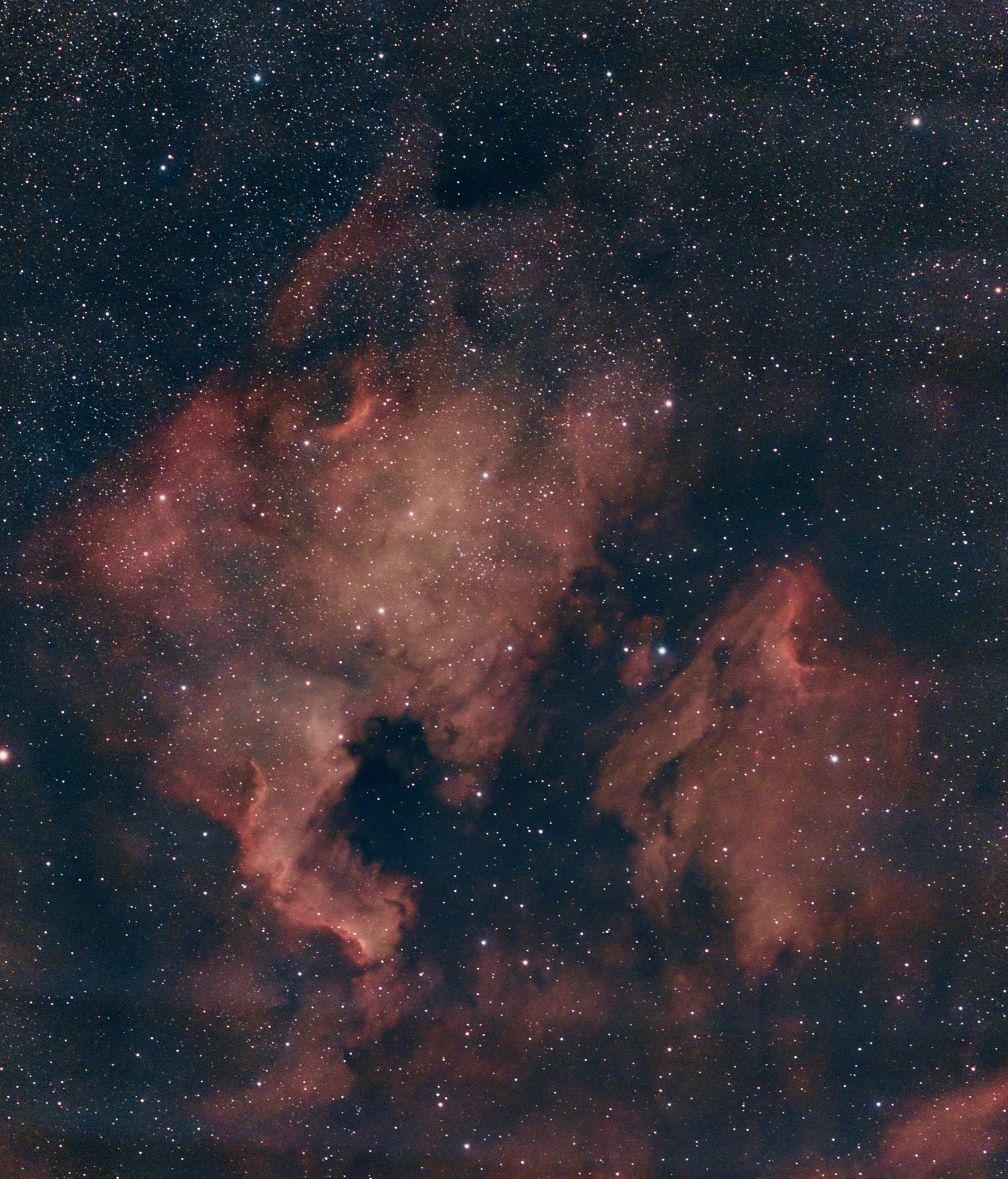 The North America Nebula (NGC 7000) captured with a ZWO Seestar S30 Pro